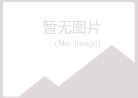 吉林夏日能源有限公司